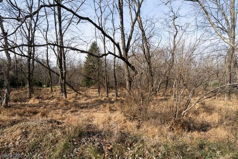 24.7 Acres of Recreational & Residential Land for Sale in Washington Township, New Jersey