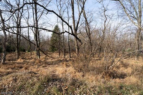 24.7 Acres of Recreational & Residential Land for Sale in Washington Township, New Jersey