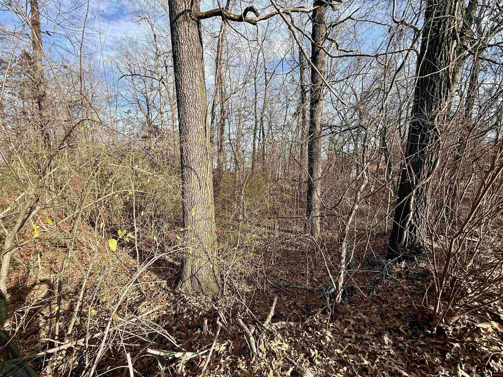 1 Acre of Residential Land for Sale in Mountain Home, Arkansas