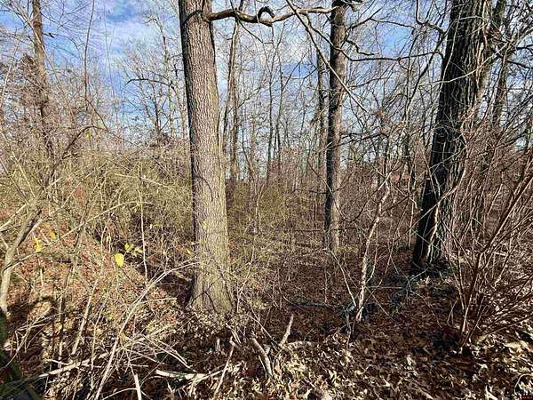 1 Acre of Residential Land for Sale in Mountain Home, Arkansas