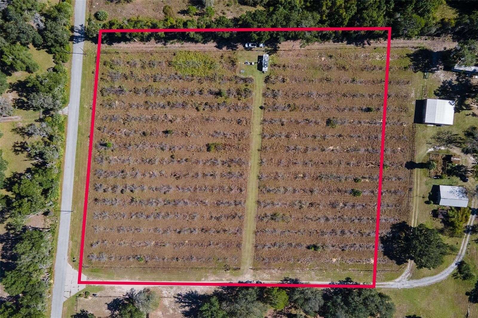 5 Acres of Agricultural Land for Sale in Altoona, Florida