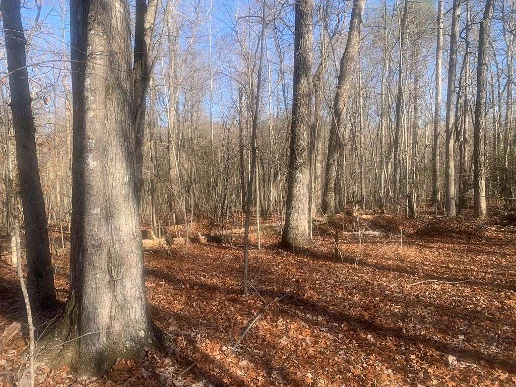 1 Acre of Residential Land for Sale in Pikeville, Tennessee