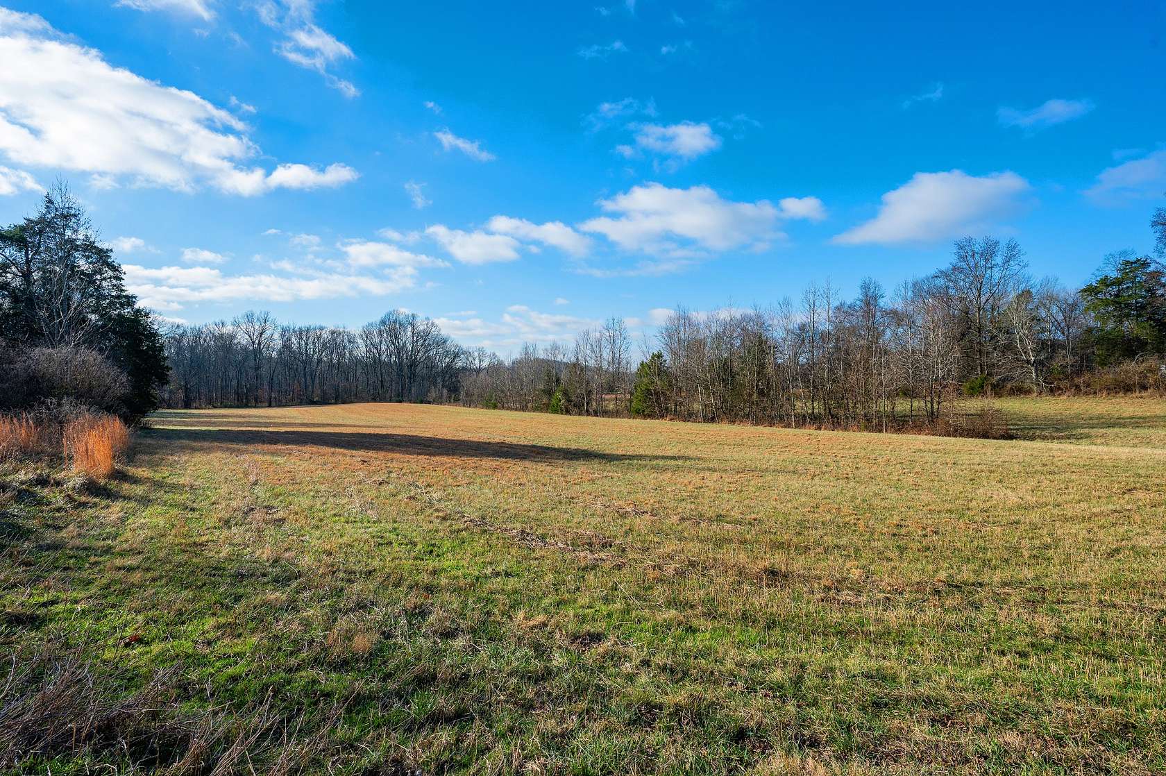 19 Acres of Land for Sale in Arrington, Tennessee