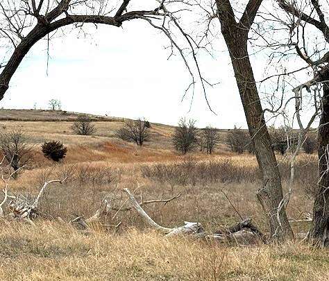 120 Acres of Recreational Land & Farm for Sale in Bogue, Kansas