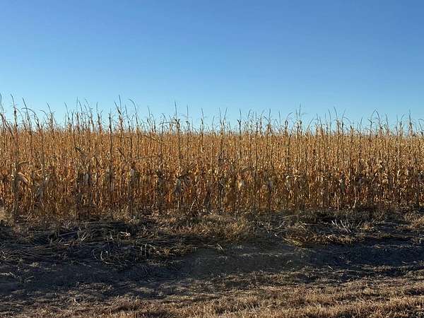 320 Acres of Agricultural Land for Sale in Tribune Township, Kansas