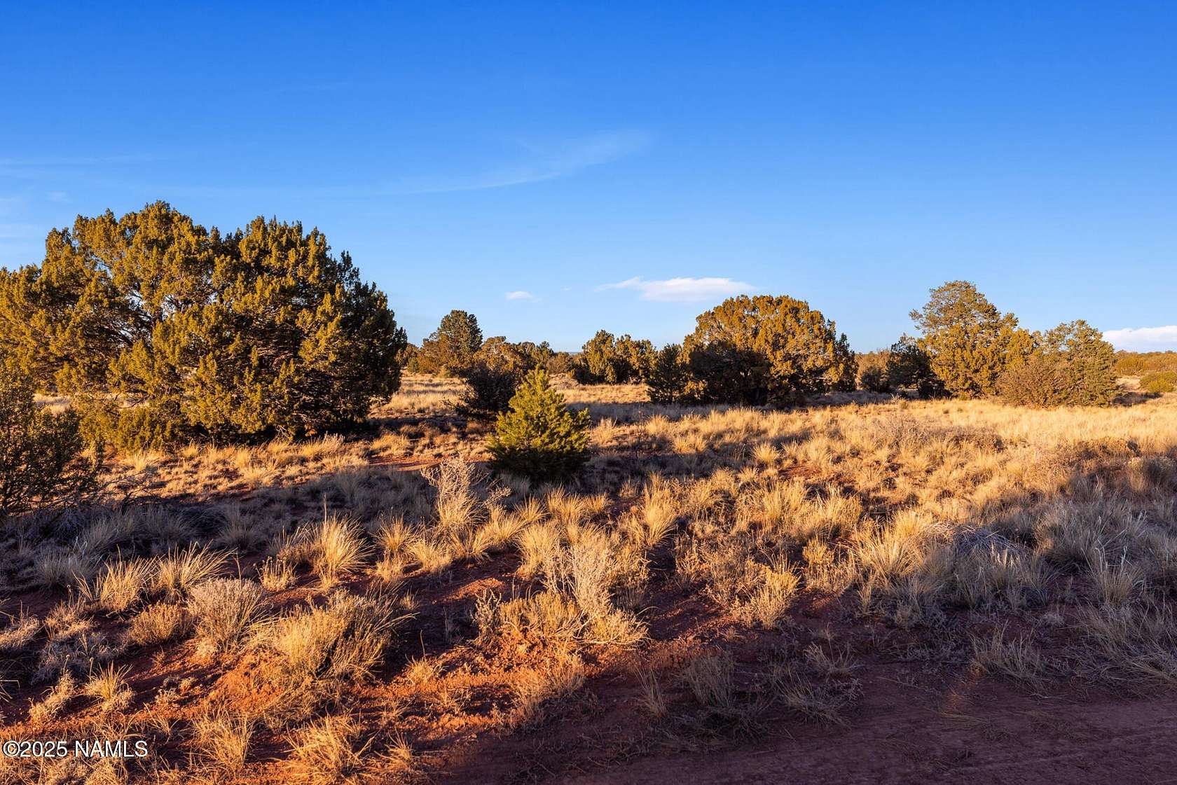 1 Acre of Land for Sale in Williams, Arizona