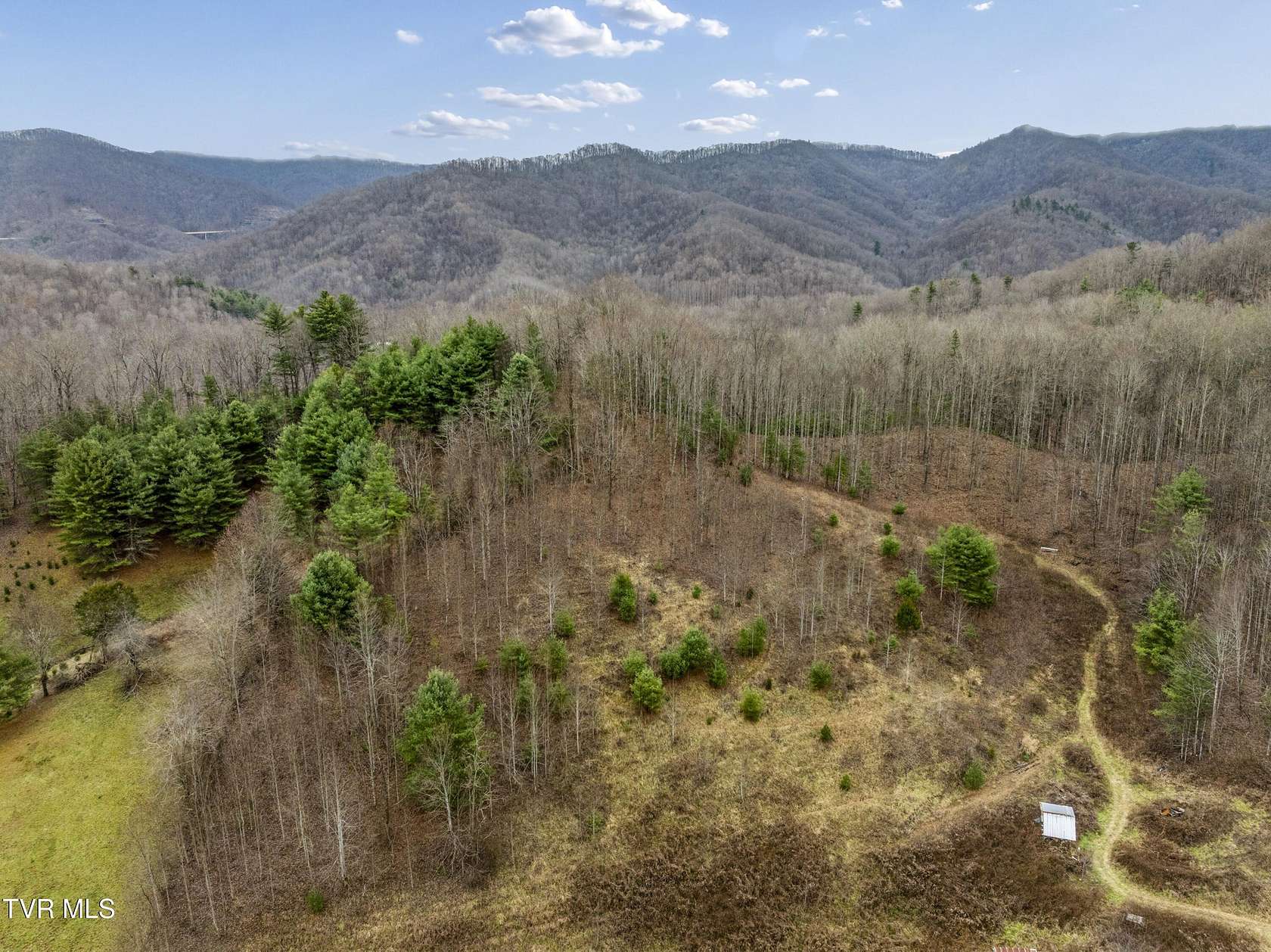 12 Acres of Land for Sale in Flag Pond, Tennessee