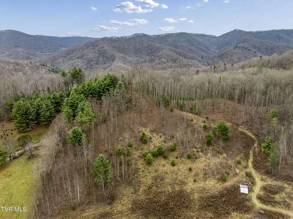 12 Acres of Land for Sale in Flag Pond, Tennessee