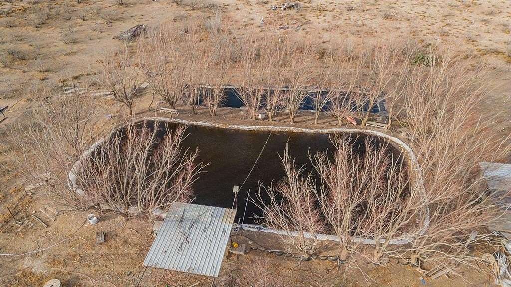 7.68 Acres of Agricultural Land for Sale in Seminole, Texas