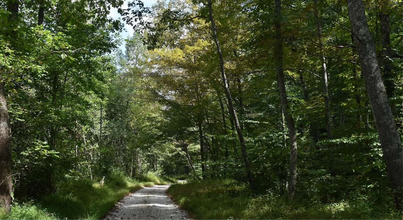 50 Acres of Recreational Land for Sale in Grayson, Kentucky