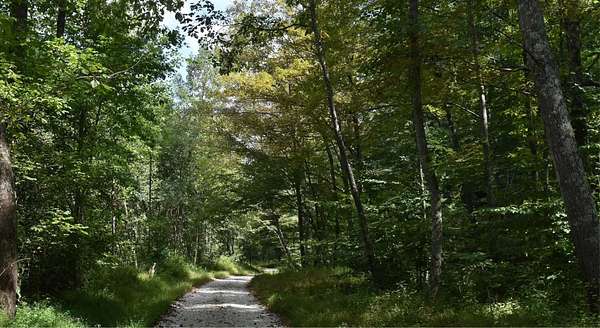 50 Acres of Recreational Land for Sale in Grayson, Kentucky