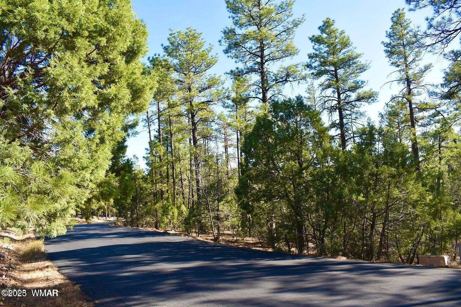 0.62 Acres of Residential Land for Sale in Show Low, Arizona