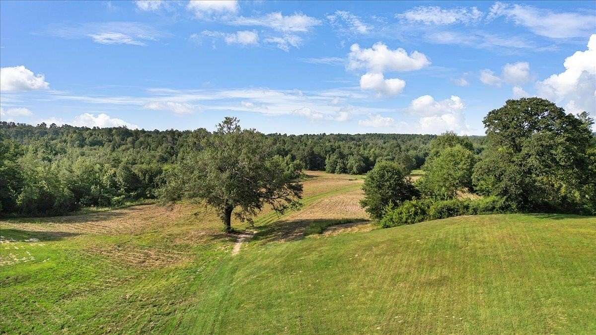32 Acres of Recreational Land & Farm for Sale in Gilmer, Texas