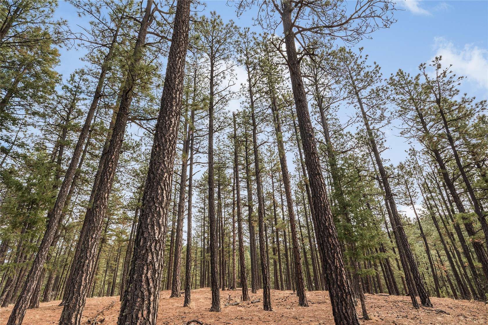 0.58 Acres of Residential Land for Sale in Rociada, New Mexico