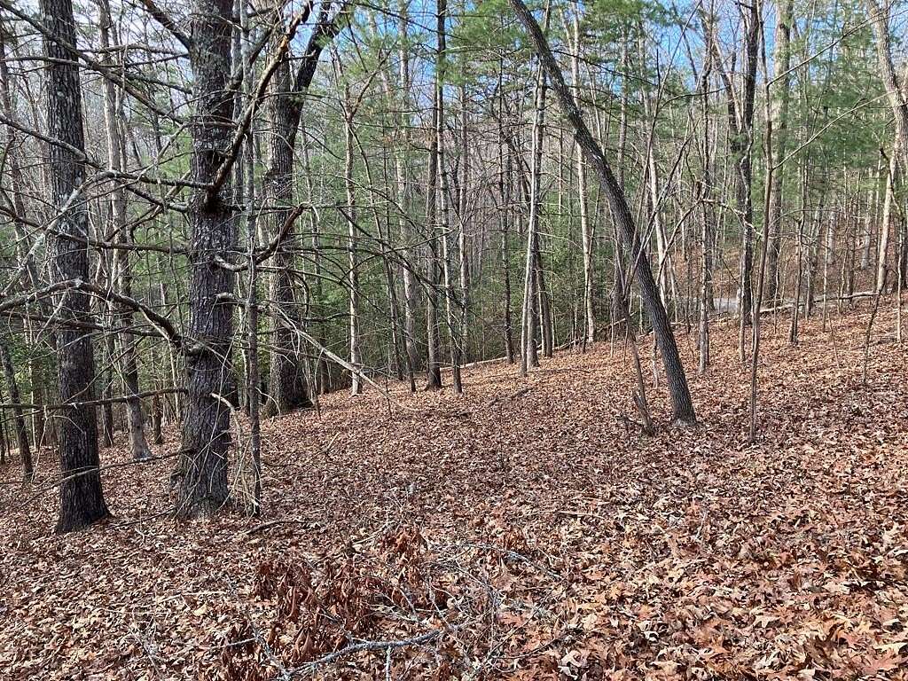 Residential Land for Sale in Murphy, North Carolina