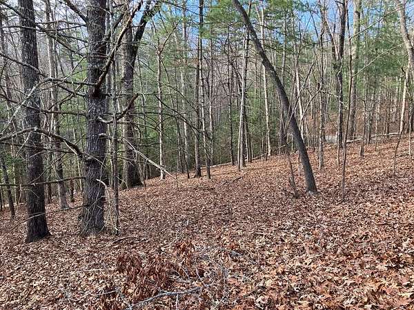 Residential Land for Sale in Murphy, North Carolina