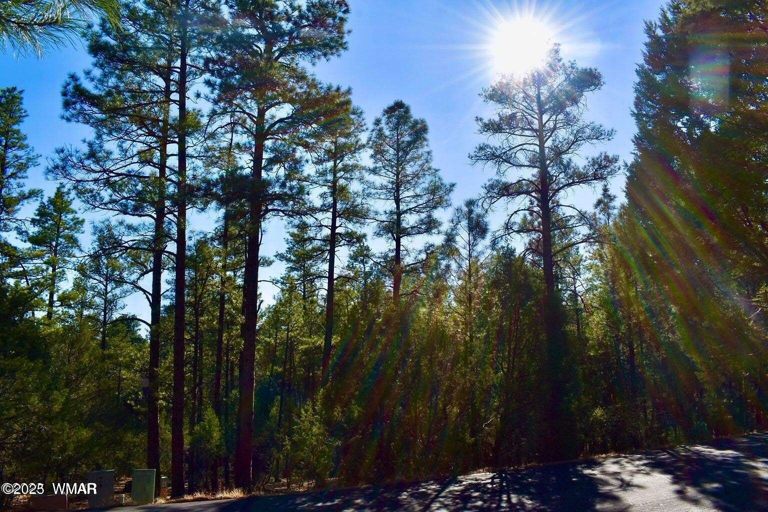 1.2 Acres of Residential Land for Sale in Show Low, Arizona