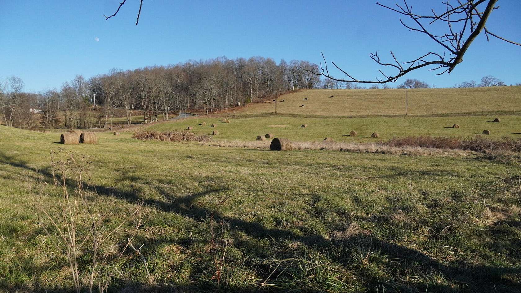 27.8 Acres of Agricultural Land for Sale in Jonesborough, Tennessee