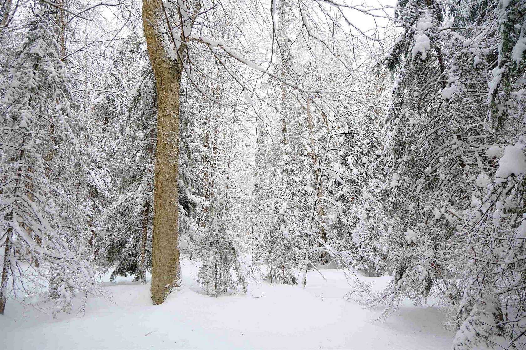 3.2 Acres of Land for Sale in Newark Town, Vermont