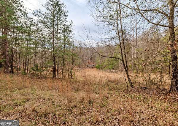0.71 Acres of Residential Land for Sale in Lavonia, Georgia
