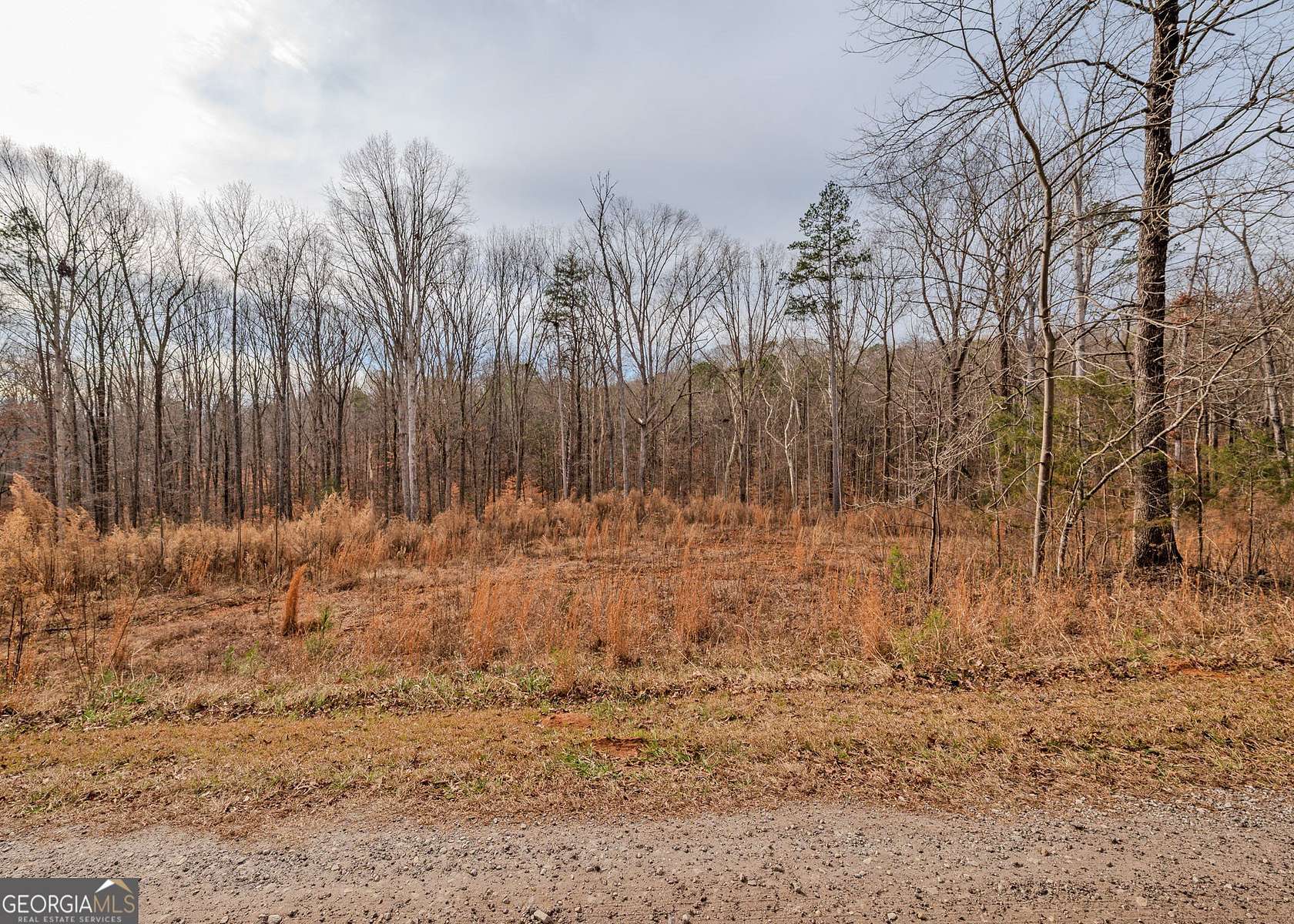 0.5 Acres of Residential Land for Sale in Lavonia, Georgia