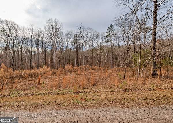 0.5 Acres of Residential Land for Sale in Lavonia, Georgia