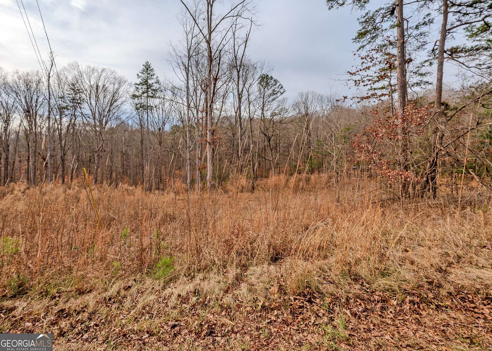 1.2 Acres of Residential Land for Sale in Lavonia, Georgia