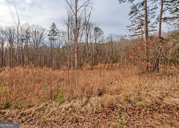 1.2 Acres of Residential Land for Sale in Lavonia, Georgia