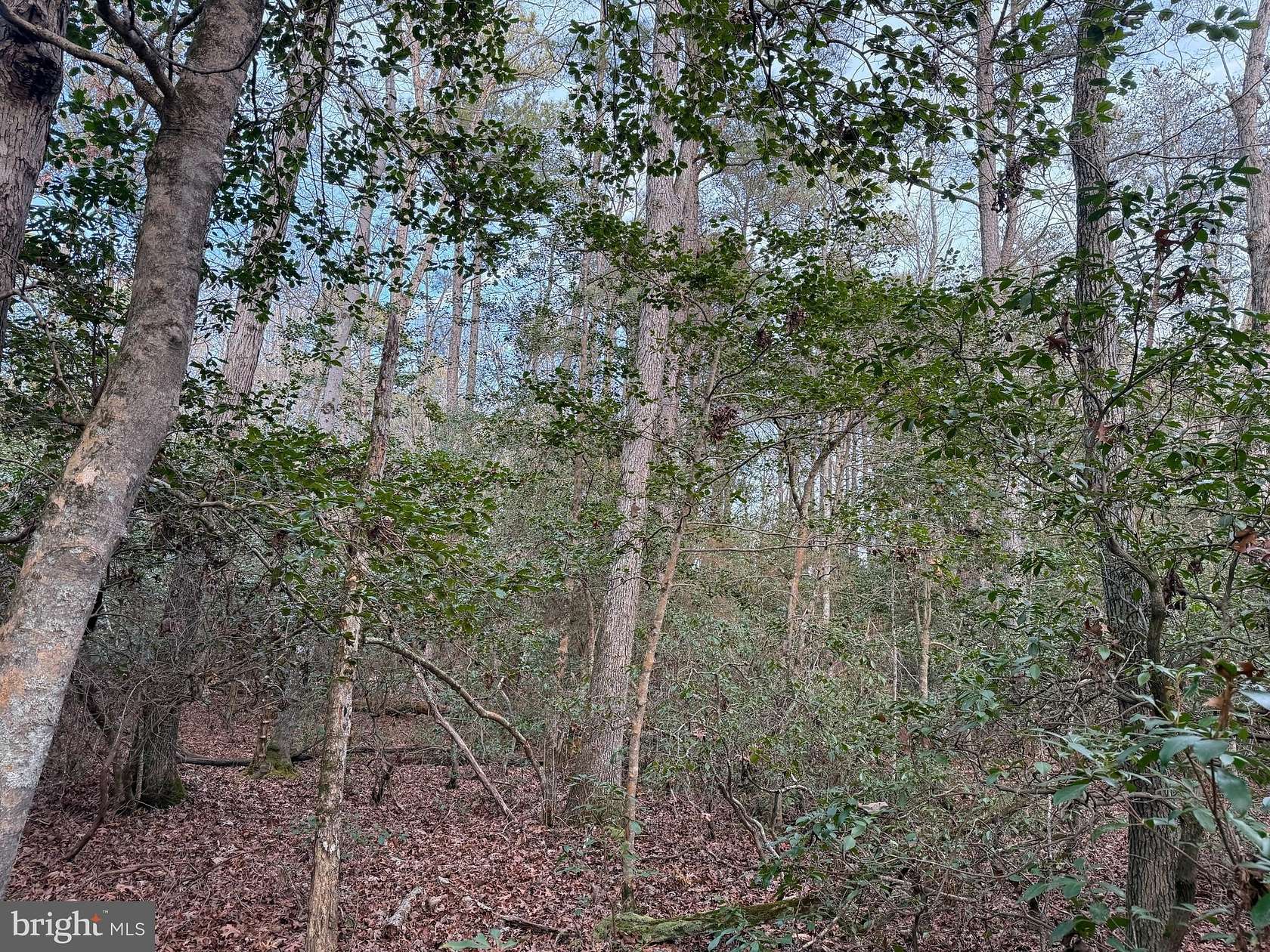 4.24 Acres of Residential Land for Sale in Valley Lee, Maryland