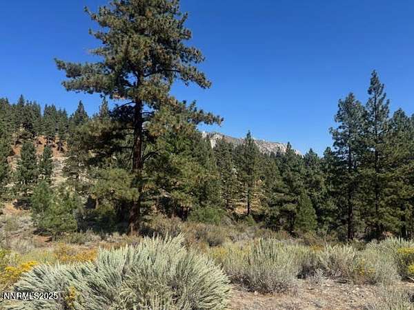 1.43 Acres of Residential Land for Sale in Carson City, Nevada