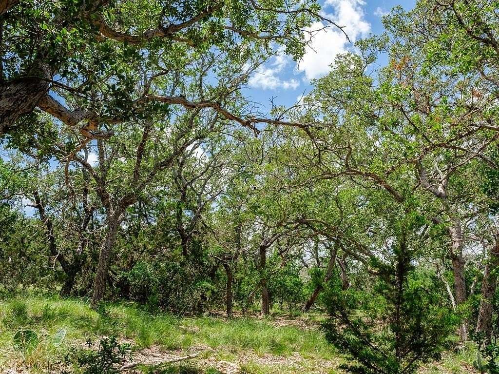 20 Acres of Land for Sale in Doss, Texas