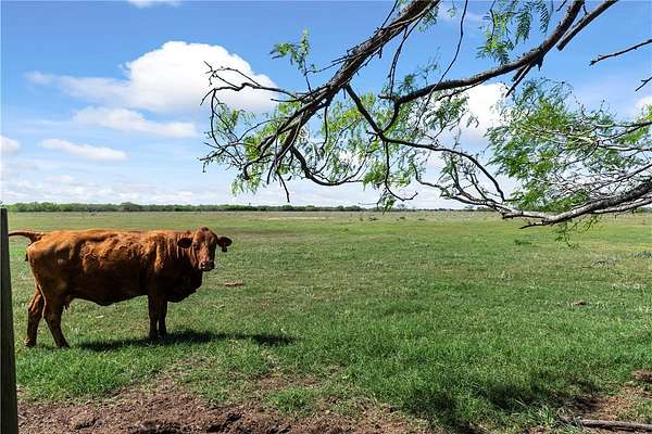 11.8 Acres of Land for Sale in Kingsville, Texas