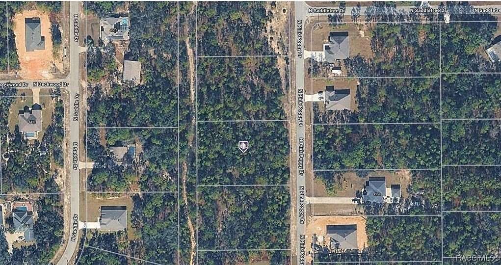 1 Acre of Land for Sale in Beverly Hills, Florida