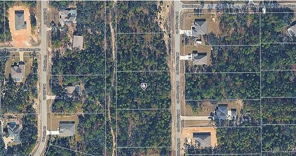 1 Acre of Land for Sale in Beverly Hills, Florida