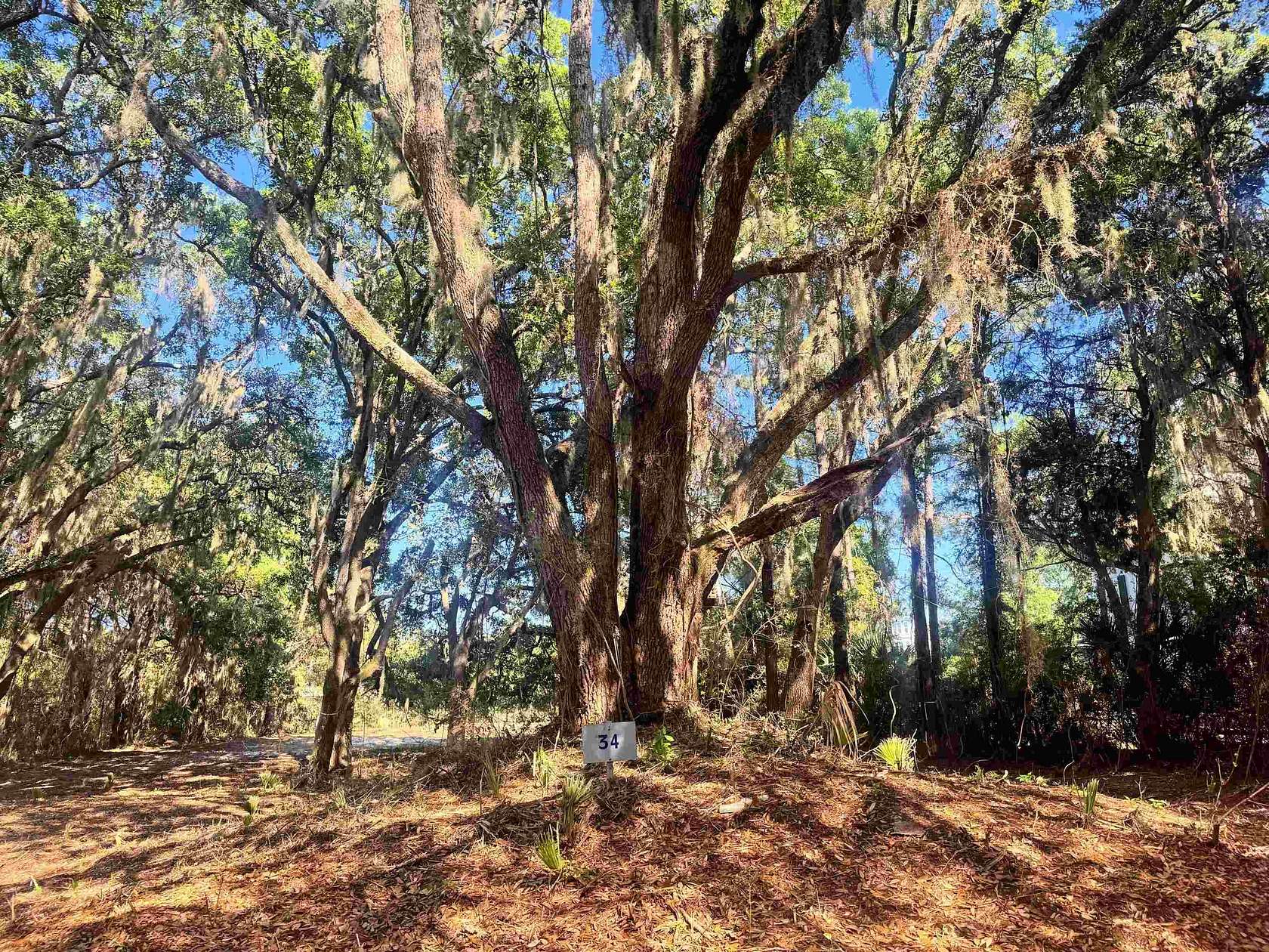 0.53 Acres of Residential Land for Sale in Georgetown, South Carolina
