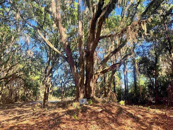 0.53 Acres of Residential Land for Sale in Georgetown, South Carolina