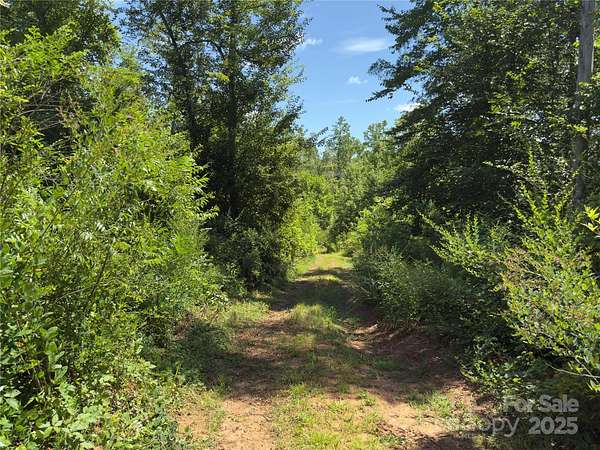 10 Acres of Agricultural Land for Sale in Bostic, North Carolina