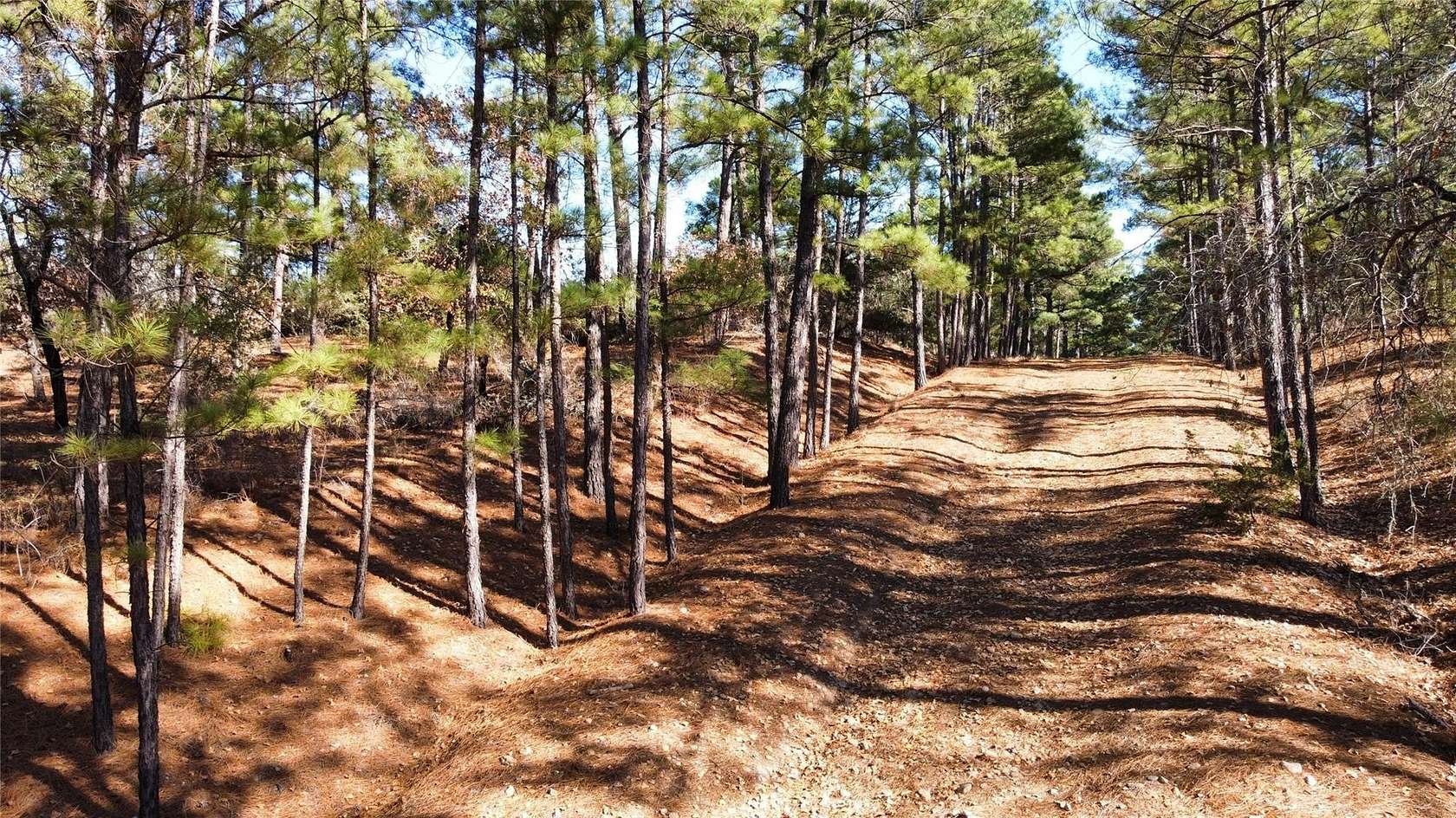0.35 Acres of Residential Land for Sale in Bastrop, Texas