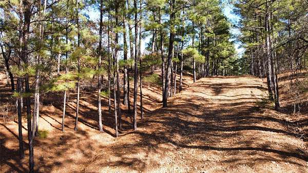 0.35 Acres of Residential Land for Sale in Bastrop, Texas