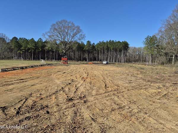 20 Acres of Land for Sale in Forest, Mississippi