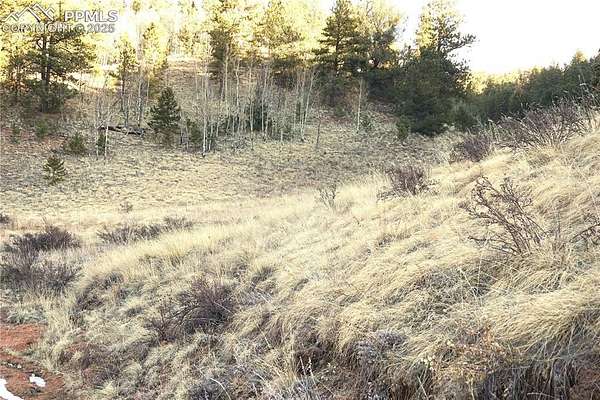 1.19 Acres of Residential Land for Sale in Divide, Colorado