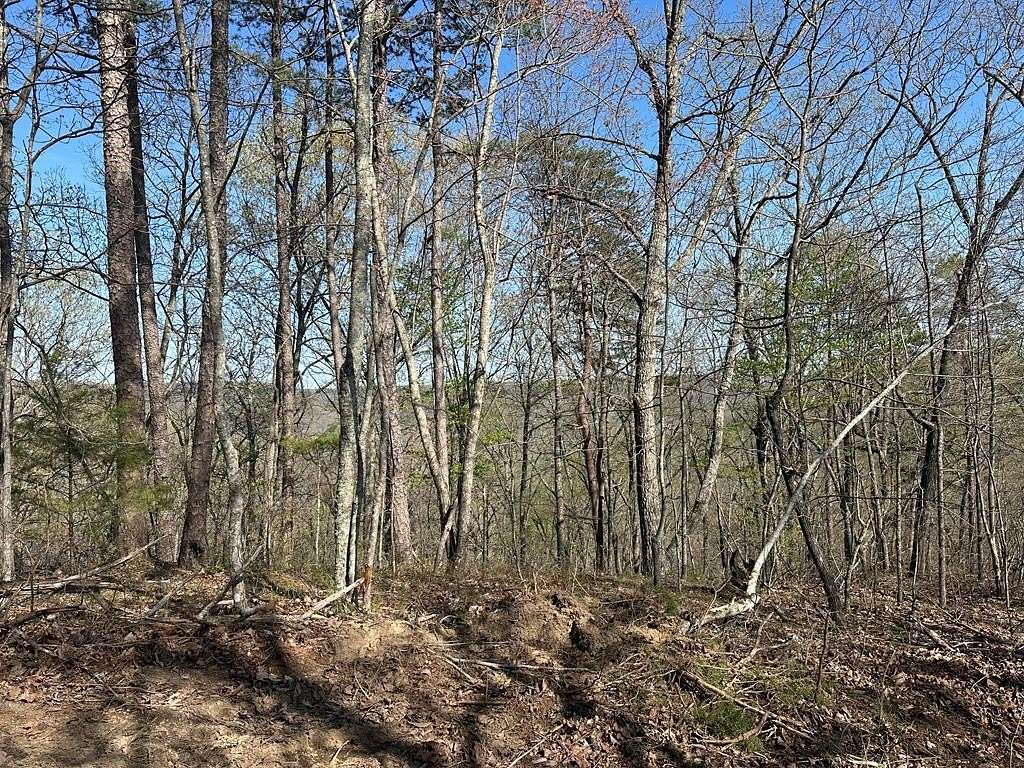 5.84 Acres of Land for Sale in Wilder, Tennessee