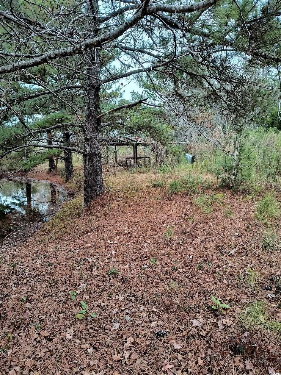 6 Acres of Residential Land for Sale in Conway, South Carolina