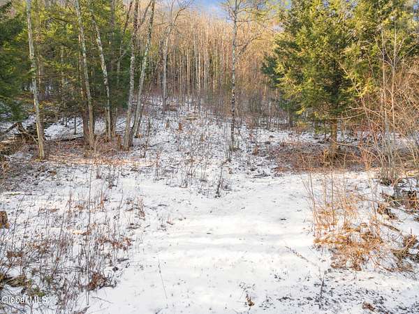 1 Acre of Land for Sale in Middleburgh, New York