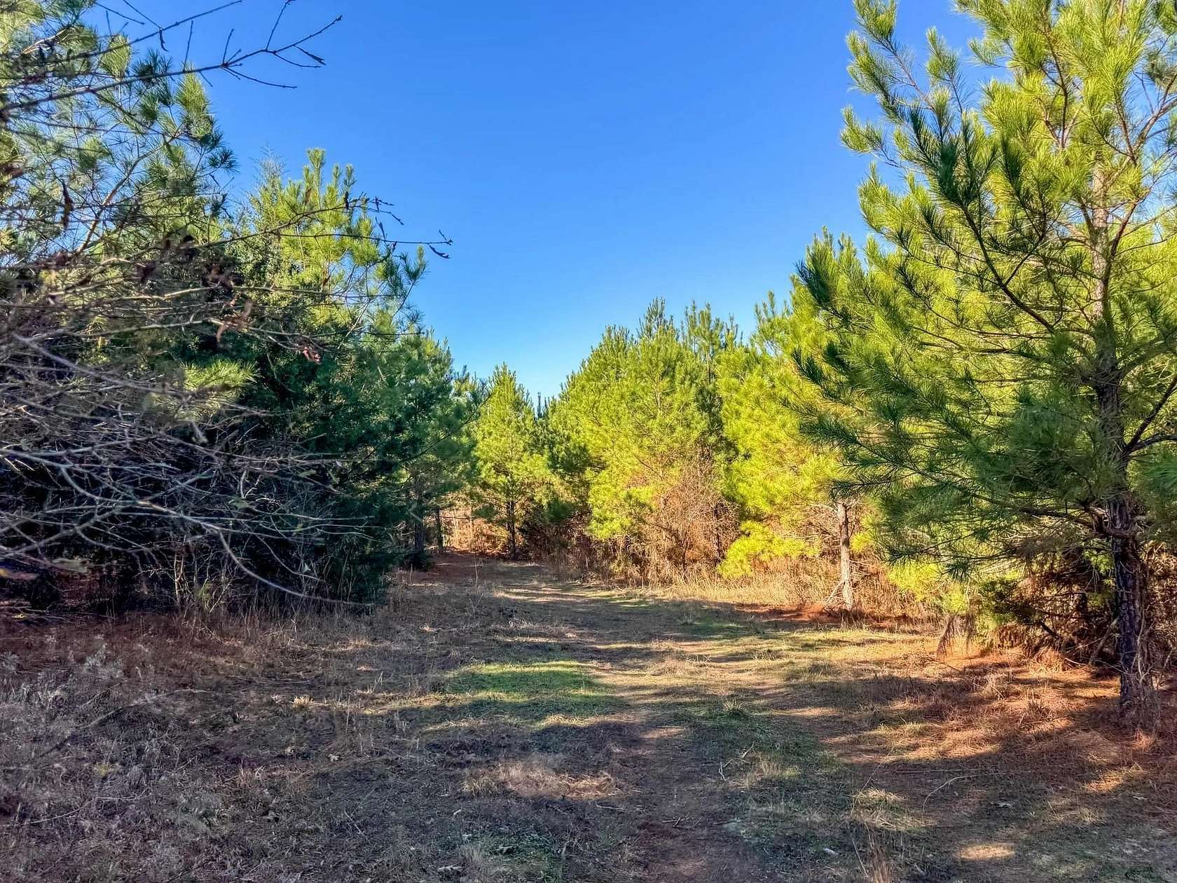 210 Acres of Land for Sale in Linden, Texas