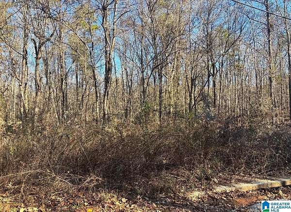 0.51 Acres of Residential Land for Sale in Wilsonville, Alabama