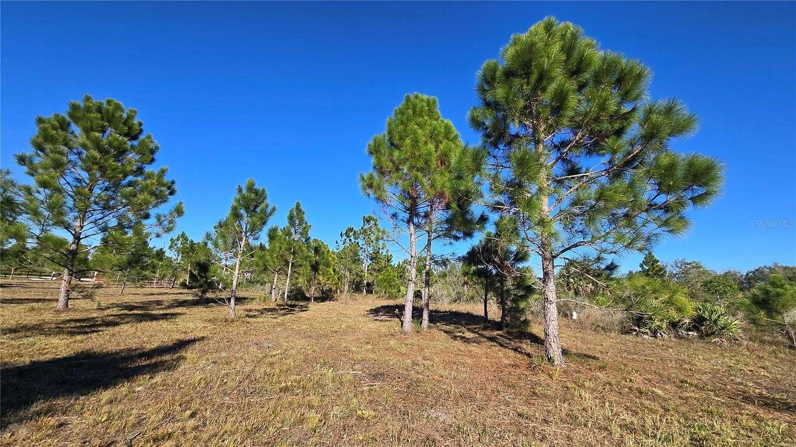 1.25 Acres of Residential Land for Sale in Okeechobee, Florida