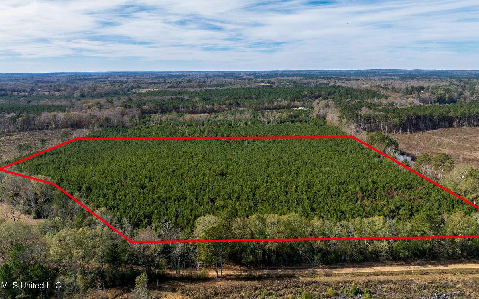 37 Acres of Land for Sale in Morton, Mississippi