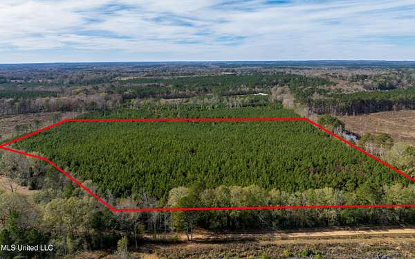 37 Acres of Land for Sale in Morton, Mississippi