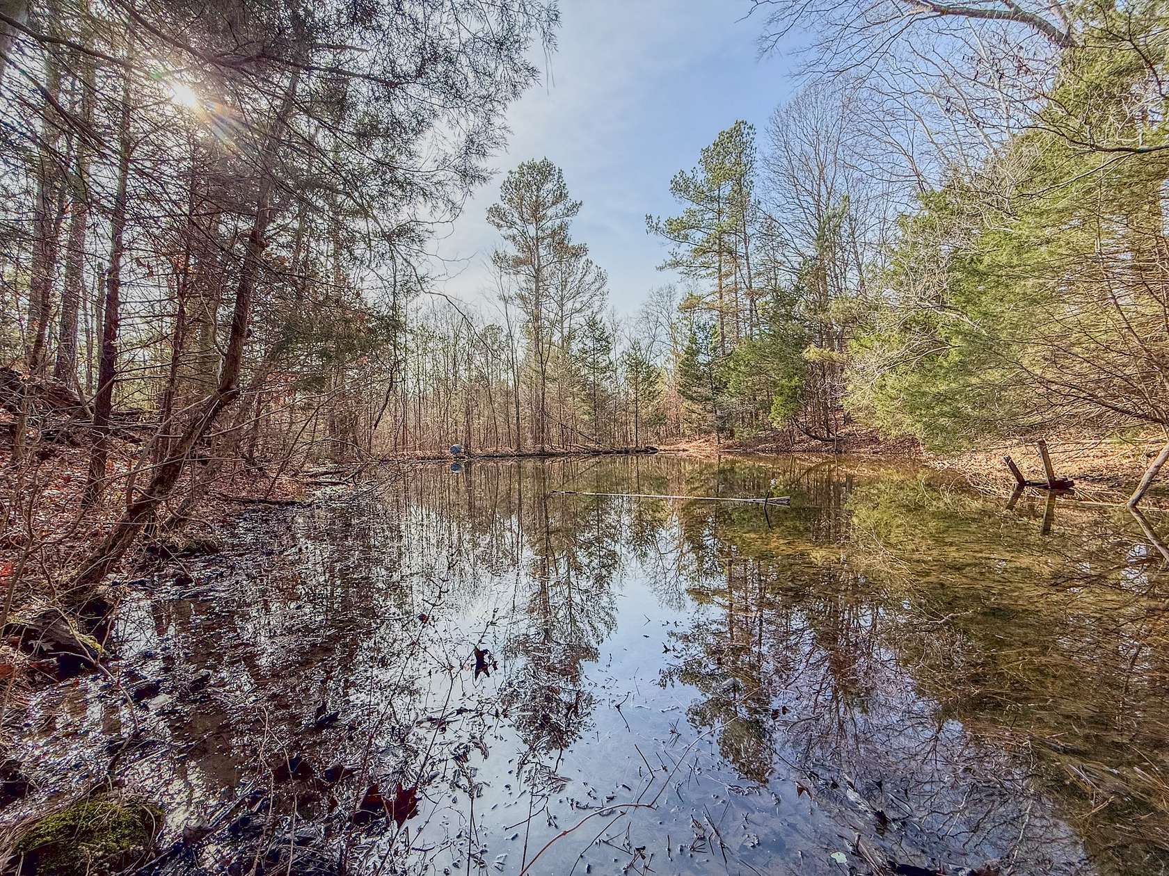 46 Acres of Land for Sale in Portland, Tennessee